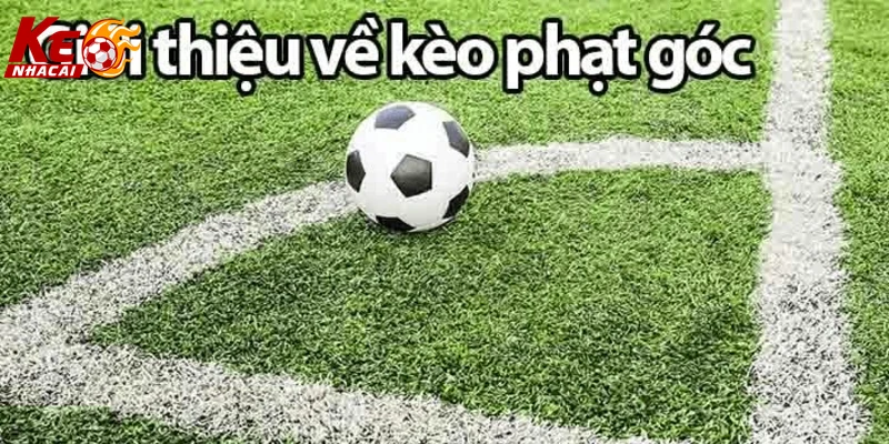 Hình ảnh người chơi trải nghiệm kèo phạt góc tại nhà