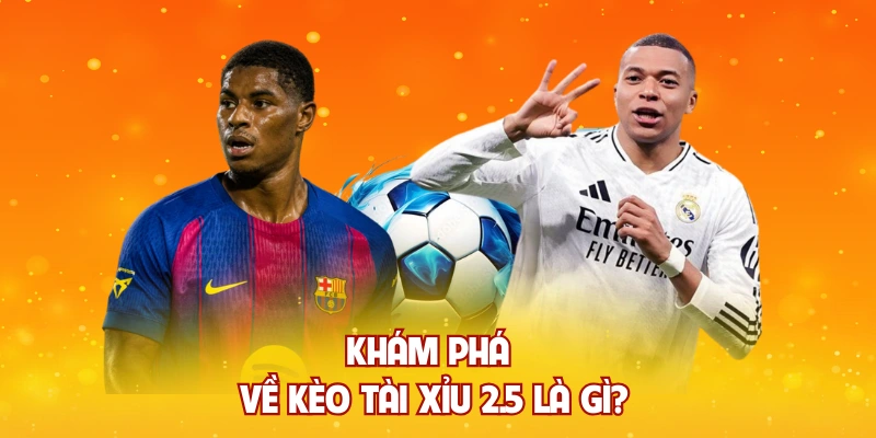 Khám phá về kèo tài xỉu 2.5 là gì?